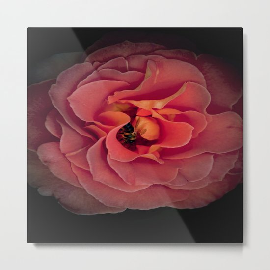 Nature's Alliance Metal Print