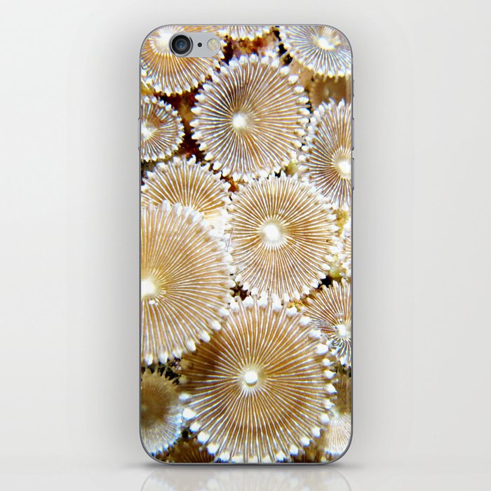 Protopalythoa Coral iPhone Skin
