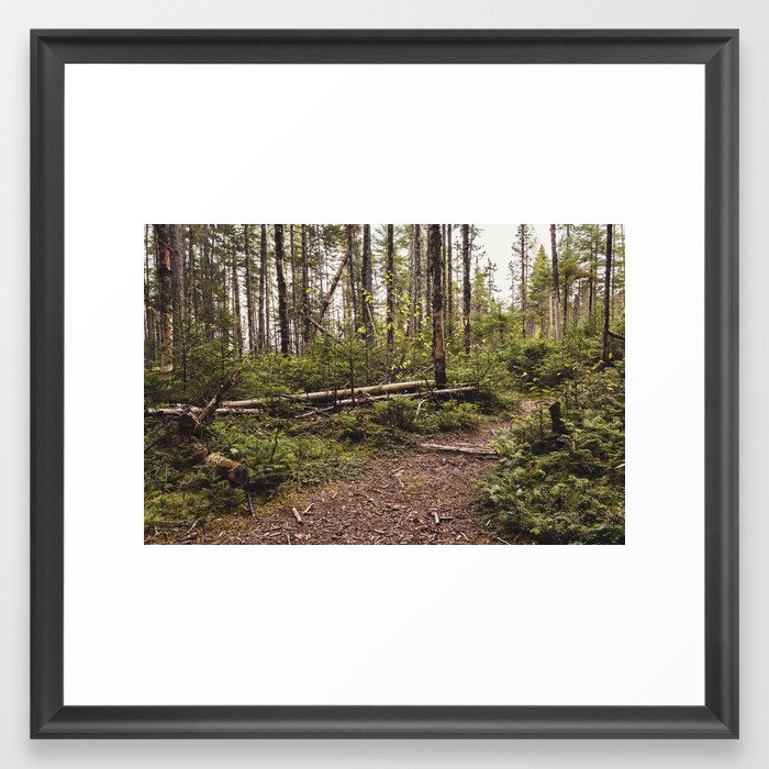 a path in the woods Framed Art Print