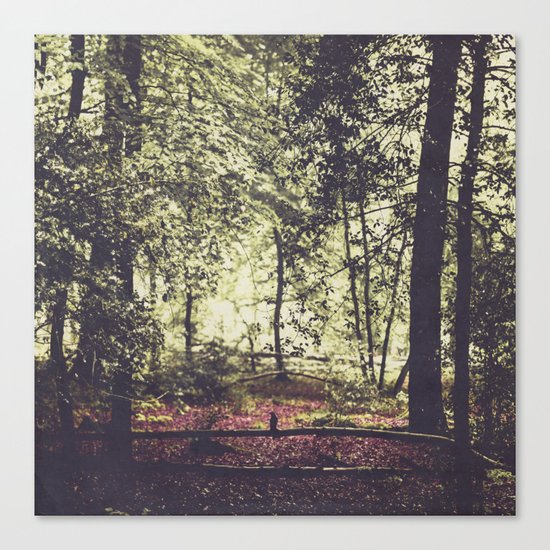 sHadow and liGht Canvas Print