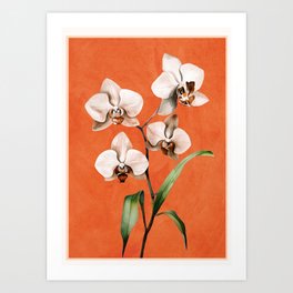 White Orchid Floral Art 3  Art Print