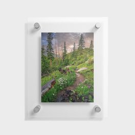 Sunrise Trail Floating Acrylic Print