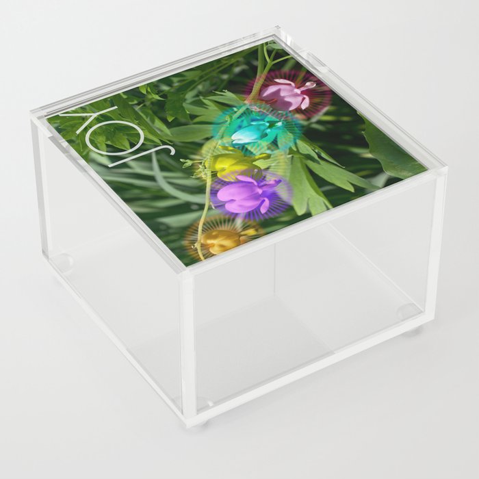 JOYhearts Acrylic Box