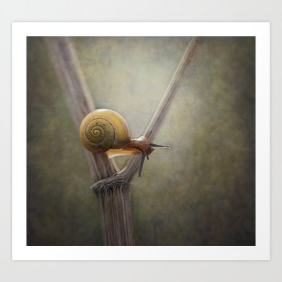 ' Y ' Art Print