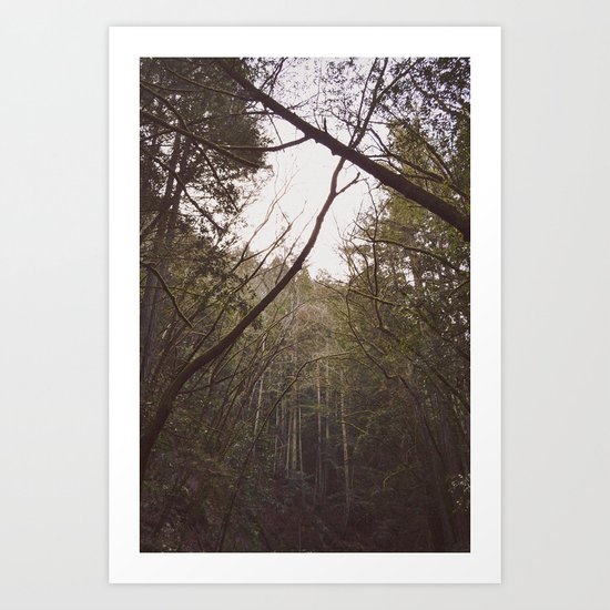 T r e a s Art Print