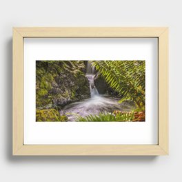 Quinault Rainforest Waterfall   5-25-18 Recessed Framed Print