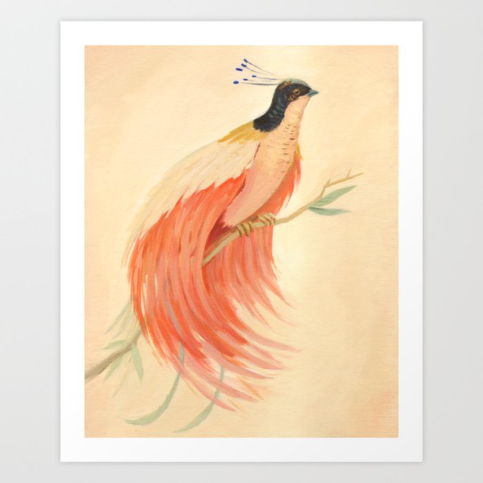 Bird of Paradise Art Print