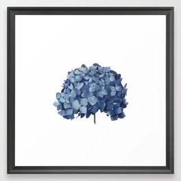 Blue Hydrangea (blank) Framed Art Print