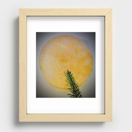 Tree Topper Recessed Framed Print