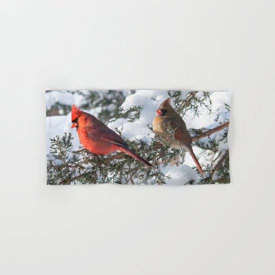 Sunny Winter Cardinals (square) Hand & Bath Towel