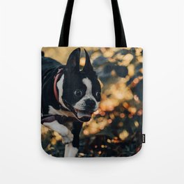 Anton Photo & Design Tote Bag