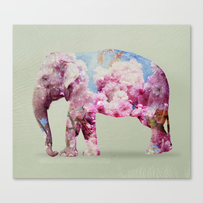 Cherry blossom Elephant Canvas Print