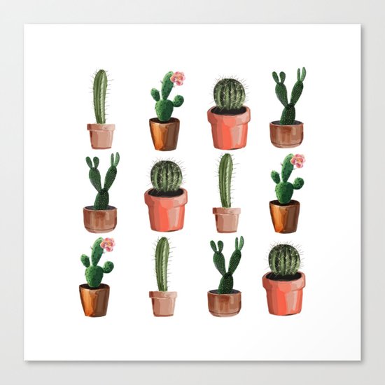 Various Cacti Canvas Print