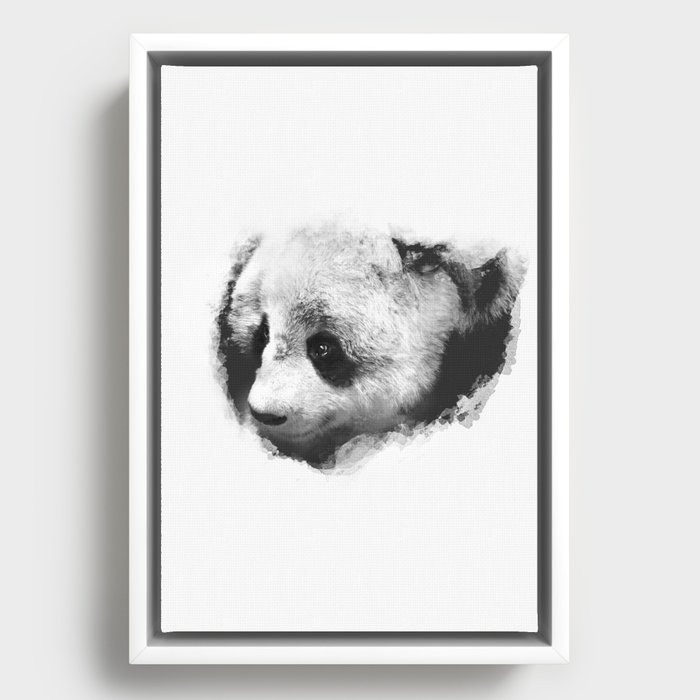 Panda peeking through the Snow Framed Canvas
