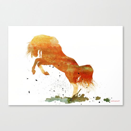 HORSES -Wild mountain pony Canvas Print