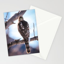 Cooper's Hawk 1 Stationery Card