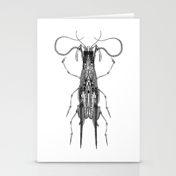 Entomologic Bones Stationery Cards
