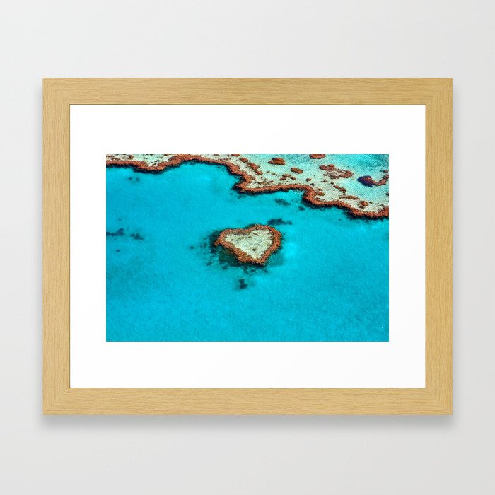 Heart Coral Reef - Queensland, Australia Framed Art Print