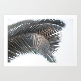 Sunset Palm Leaves #1 #tropical #wall #art #society6 Art Print