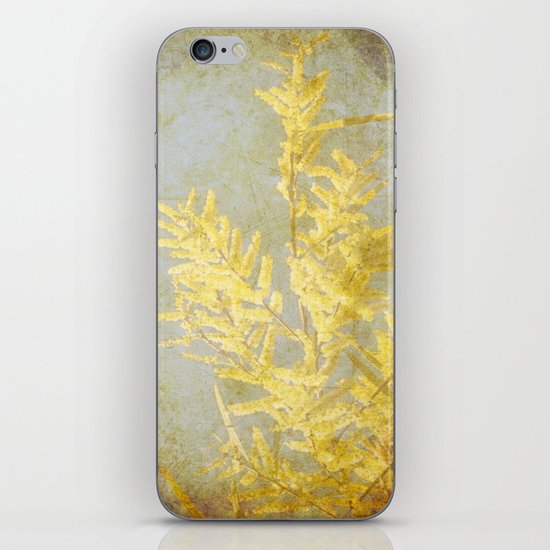 Golden Wattle iPhone & iPod Skin