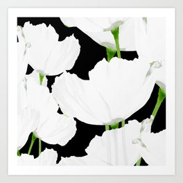 Large White Poppies on Black Background #decor #society6 #buyart Art Print