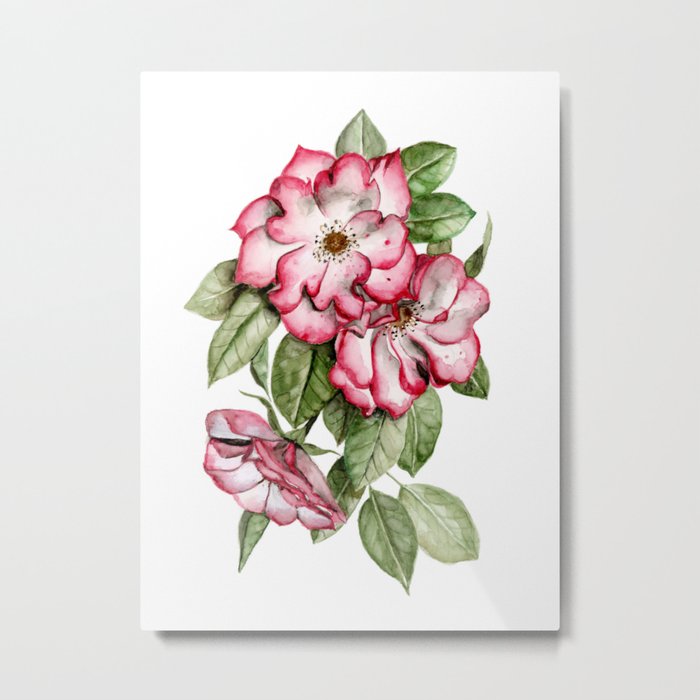 Blooming Pink Garden Roses Metal Print