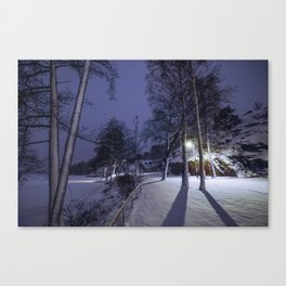 Stockholm winter Canvas Print