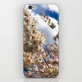 Cherry Blossom Season iPhone Skin