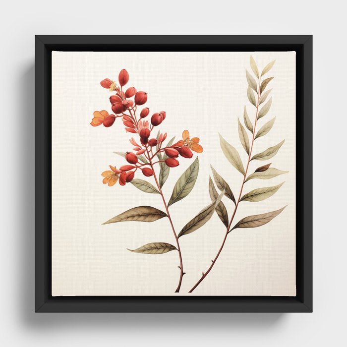 Botanical Art Framed Canvas