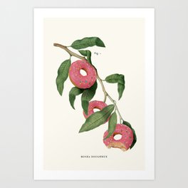 Donut Plant Art Print | Contemporaryart, Retro, Digital, Food, Kitchen, Beige, Green, Candy, Botanicalstudies, Pink 