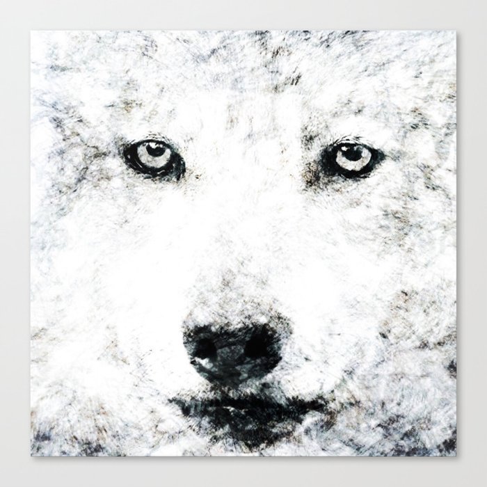 wolf  Canvas Print
