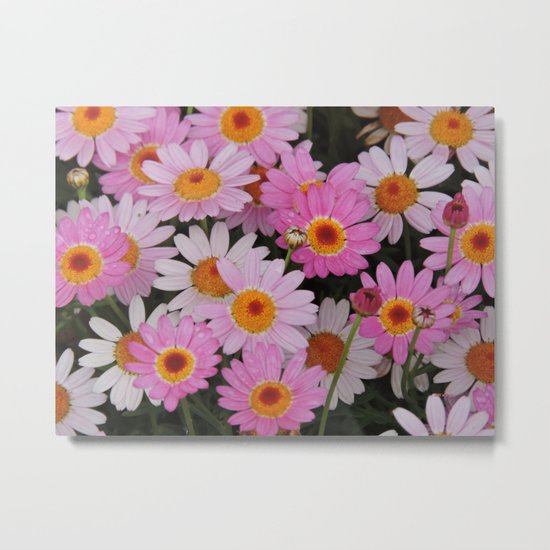 Petals, Petals, Petals Metal Print