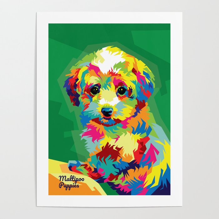 Maltipoo Dog Pop Art Illustration Poster