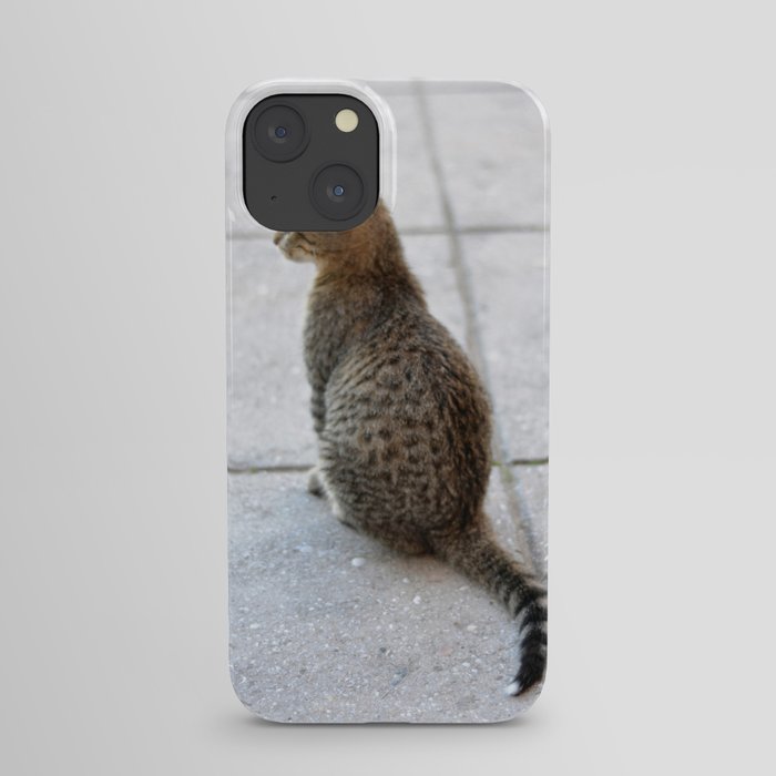 kitty cat iPhone Case