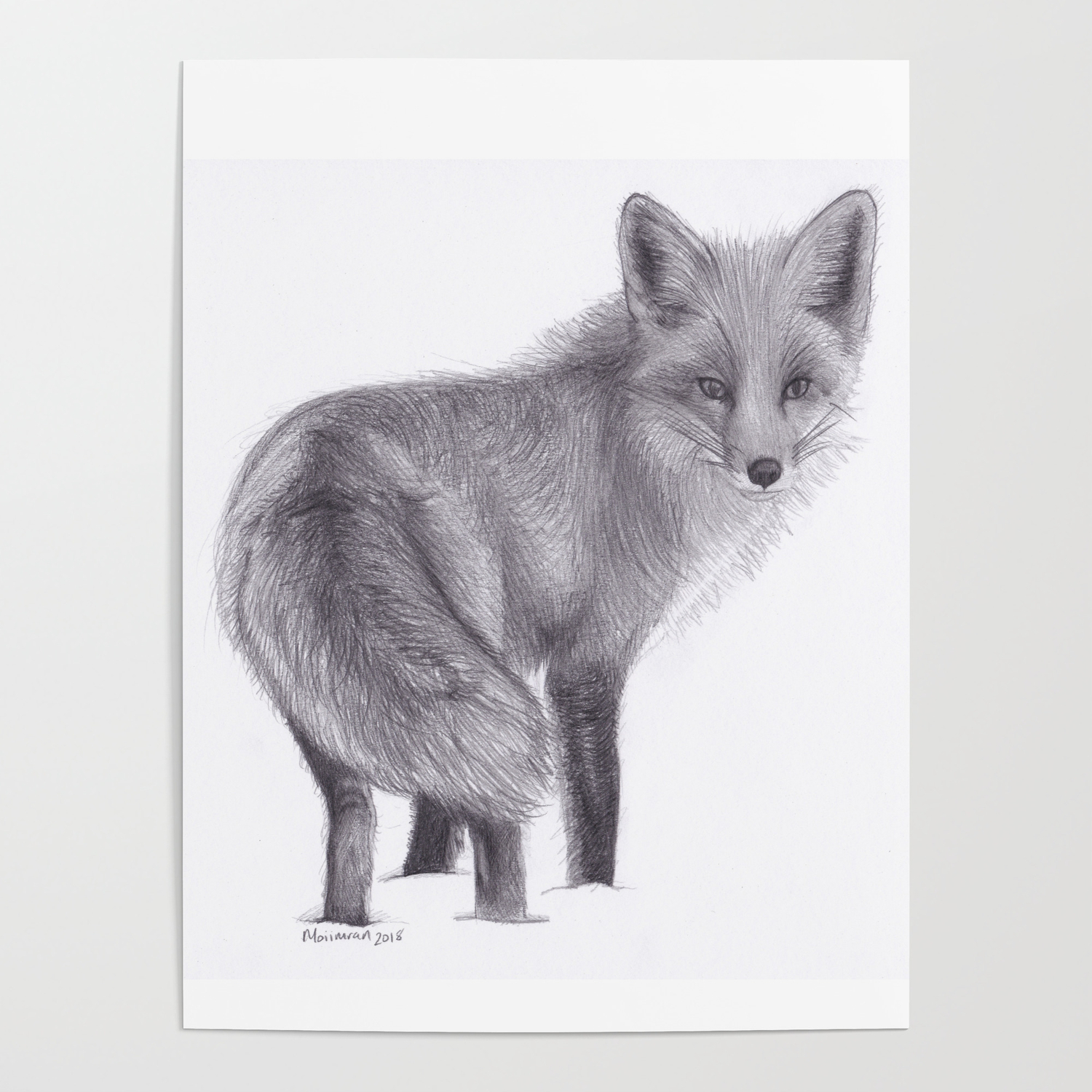 Red Fox Looking Back Drawing Pencil Sketch Artwork Poster By Moii Arts Society6 Brush set i used in this video: red fox looking back drawing pencil sketch artwork poster by moii arts