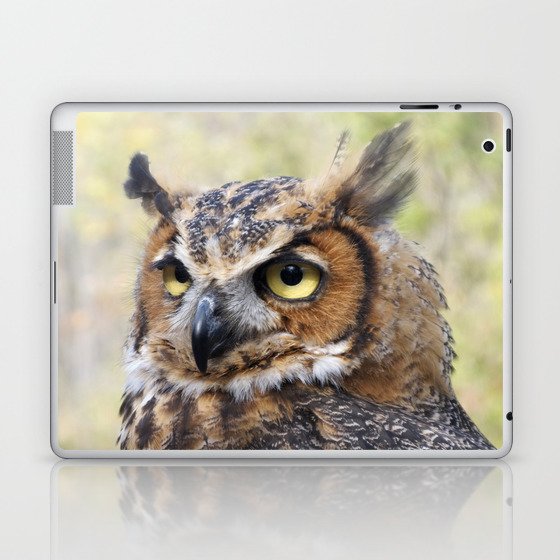 Great Horned Owl Laptop & iPad Skin