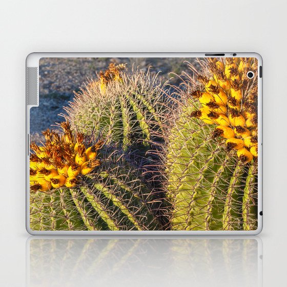 Barrel Cacti Laptop & iPad Skin
