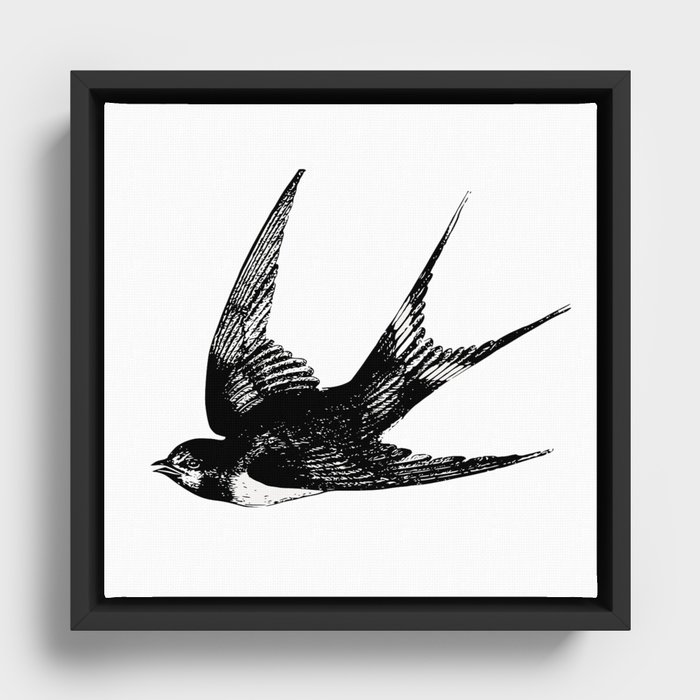 Sparrow Framed Canvas
