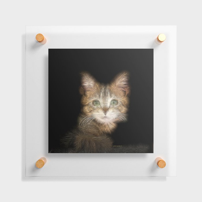 Spiked Brown Kitten  Floating Acrylic Print