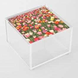 Tulip Festival Acrylic Box