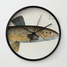 Vintage Illustration of a Brown Trout (1785) Wall Clock