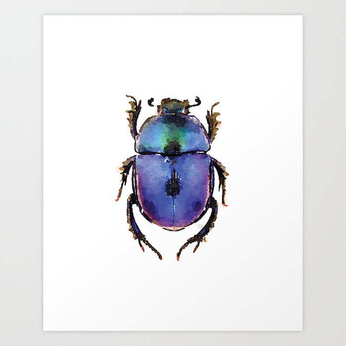 Set of framed beetle watercolor prints