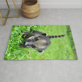 painting of coati Rug