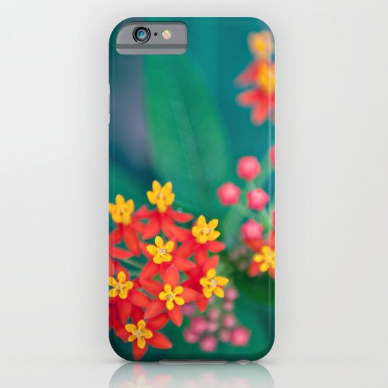 fireworks iPhone & iPod Case