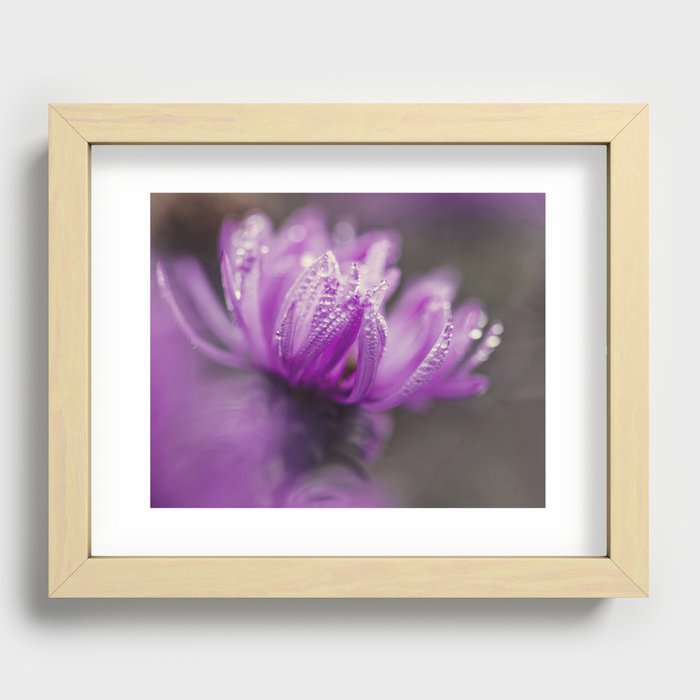 aster and dew Recessed Framed Print