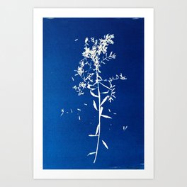 Bucolic delicacy - Brazilian botanical art Art Print