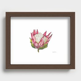 Watercolor King Protea on white Recessed Framed Print
