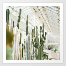Hortus Botanicus | Botanical gardens of Dublin | Cactuses Cacti Art Print