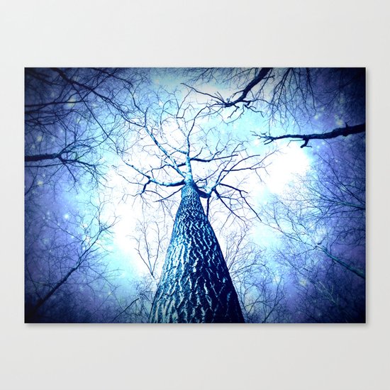 Winter's Coming : Wintry Trees Galaxy Skies Canvas Print