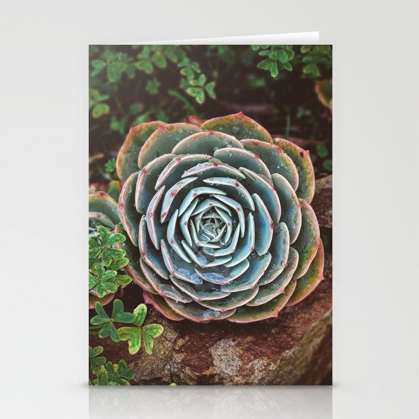 Succulents after the rain Stationery Cards